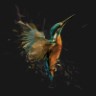 unicornherder.bytes's profile picture